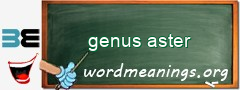 WordMeaning blackboard for genus aster